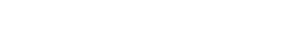 The Unauthorized True Story of a Boy Wizard, His Fans, and Life Inside the Harry Potter Phenomenon
